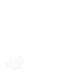 Angsa Molise